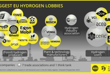Biggest hydrogen lobbies
